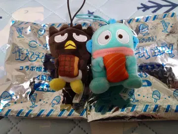 하피단부이 스시로 한교동 배드마루