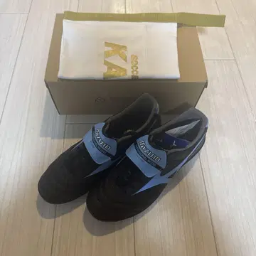 모렐리아 28cm