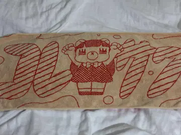 코레사와 타월