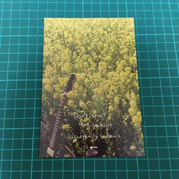 부처스 엽서 bloodthirsty butchers