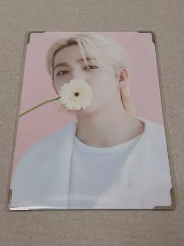SEVENTEEN cafe Seoul 에스쿱스 프리미엄 포토