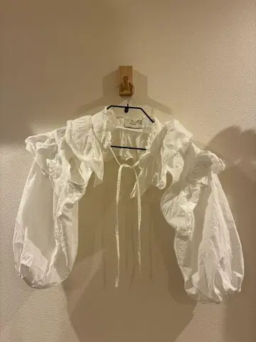 파피에 홀더 블라우스