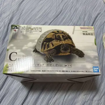 파충류&양서류 제일복권 C상 헤르만 육지거북
