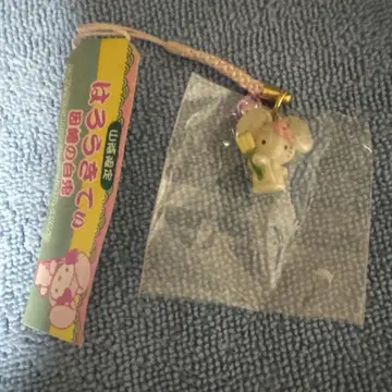 지역 키티 산인 한정판 인바의 화이트 토끼
