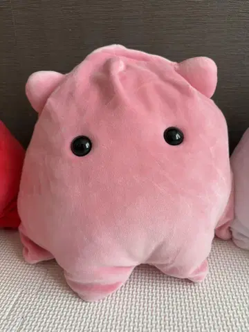 BIG 멘다코 2 봉제 인형 핑크 화이트