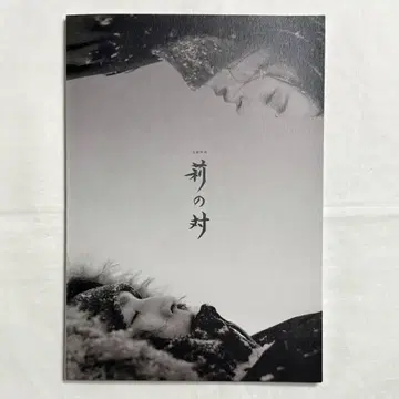 영화 리의 대 팜플렛