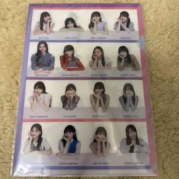 노기자카46 2025 A4 클리어 파일