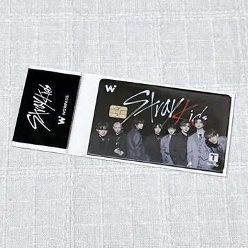 StrayKids 스키즈 WOWPASS 와오패스 올