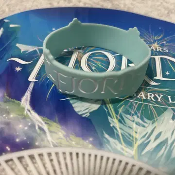 미세스 그린 애플 FJORD - 스카이블루 러버 밴드