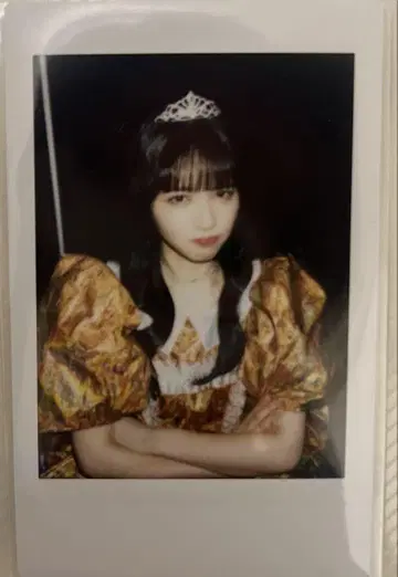 진제이 스가 이카리 얼굴 솔로 폴라로이드
