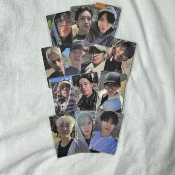 SEVENTEEN IN THE SOOP 트레이딩 카드 컴플리트