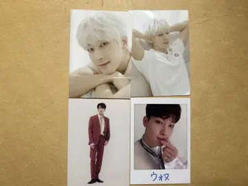 seventeen 원우