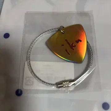 이쿠타 에리카 피크 키링