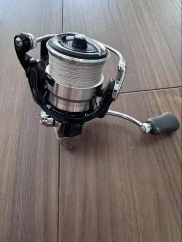 다이와 19 레그자 LT2500