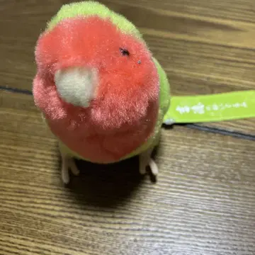 요시토쿠의 코자쿠라 잉꼬 봉제 인형