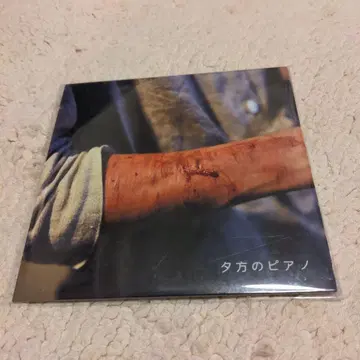 신성한 카마테짱 저녁의 피아노