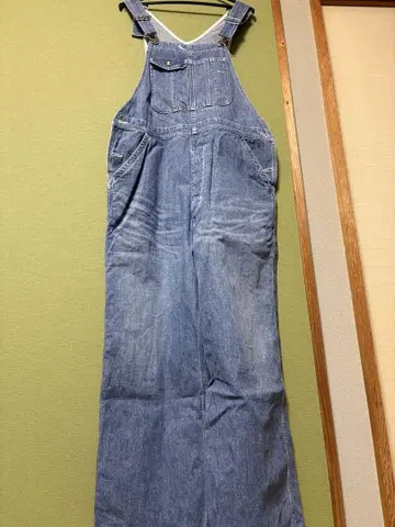프레임워크 데님 오버롤