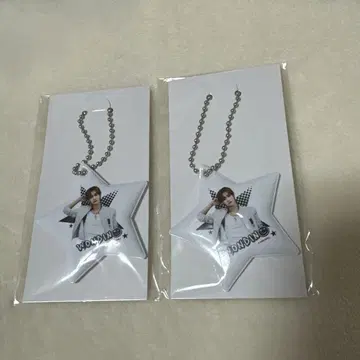 RIIZE 랜덤 토이 원빈 PVC 참 2개 세트