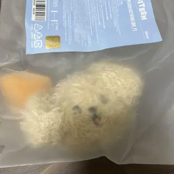 SEVENTEEN MINITEEN 공식 페이스 키링 도겸 DK