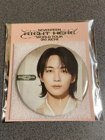 SEVENTEEN 세부치 RIGHT HERE 거울 정한