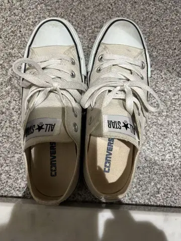 CONVERSE ALL STAR 스니커즈 US4.5 23.5cm
