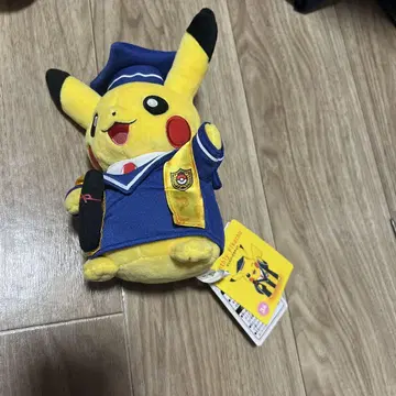 월간 피카츄 포켓몬