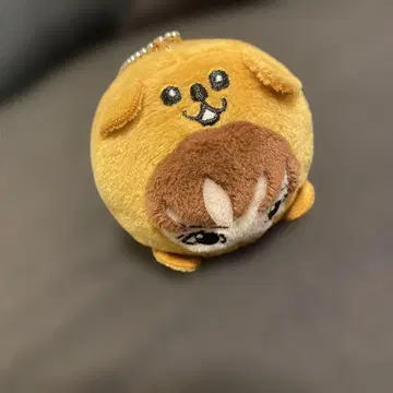 케쨩 마스코트 기무라 케이토