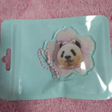 샹샹 키링