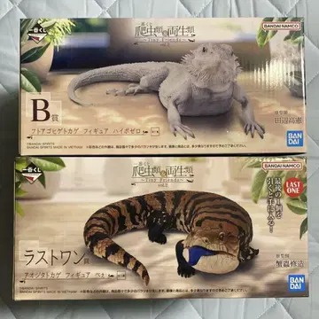 제일복권 파충류 및 양서류 B상 라스트 원