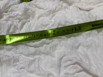 마크로스F 은테 그린