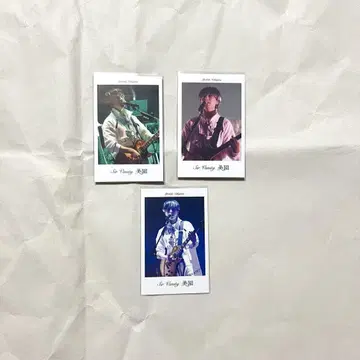 Sir Vanity Timeless 혜택 폴라로이드 나카지마 요시키