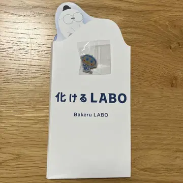 카케루 LABO 핑 배치 & 팜플렛