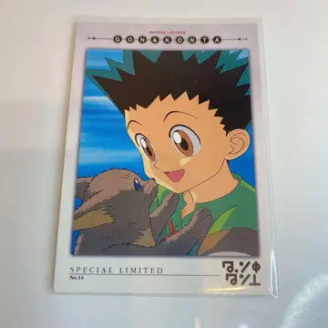 HUNTER x HUNTER 카드다스 마스터즈 No.14 곤 콘타