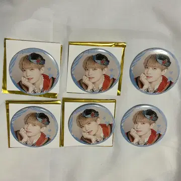 팬더 드래곤 타이 캔뱃지