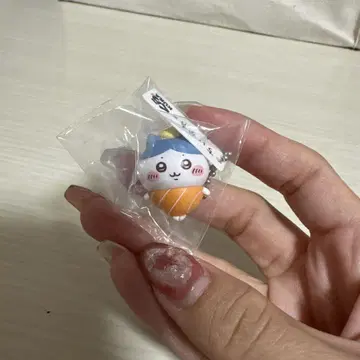 하치와레
