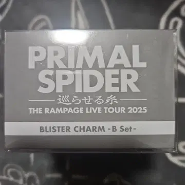 THE RAMPAGE 블리스터 참 B2