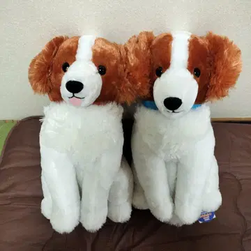 코이켈혼디예 이마짱 앉아 봉제 인형 울트라 BIG 세트
