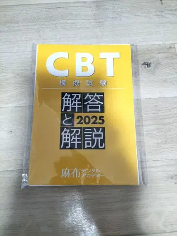 CBT 모의 시험 해답과 해설 2025