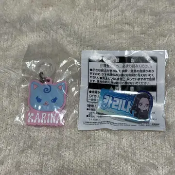 aespa 이름 아크릴 배지 메지루시 액세서리 카리나 2세트