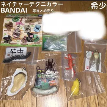 BANDAI 타카라토미 애벌레 유충 굴 매미 스트랩 묶음 판매