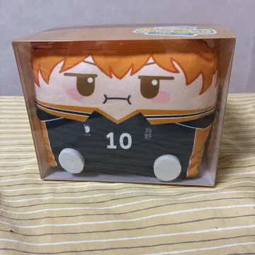 히나타 쇼요 하코누이