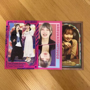 요시모토 코레카, 봄바람에 전한다