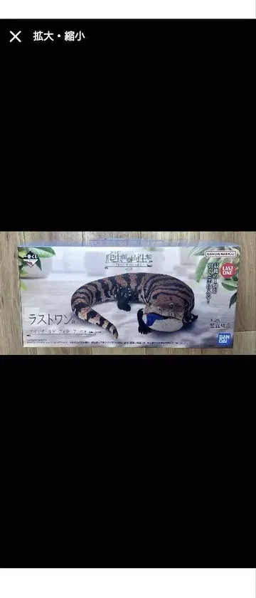 파충류 및 양서류 제일복권 라스트 원 상 아오지타 도마뱀 베