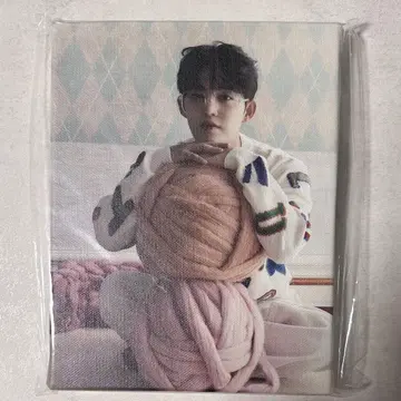세븐틴 에스크 아노치카라