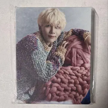 seventeen 정한  사진 캔버스