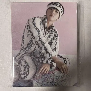 seventeen 호시 사랑의 힘 사진 캔버스