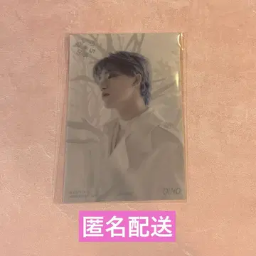 SEVENTEEN 사랑의 힘 타워레코드 특전 클리어 엽서 디노