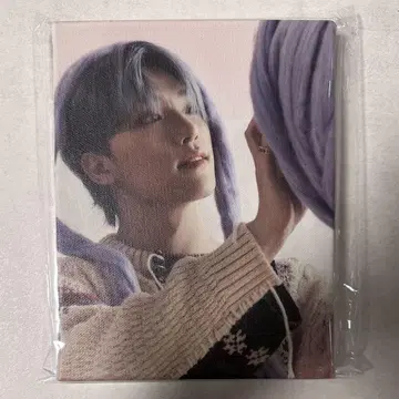 세븐틴 디노 아이노치카라 사진 캔버스