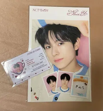 NCT WISH steady MD 유우시 포토 세트