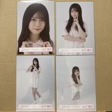 사쿠라자카46 피케 셔츠 코디 브로마이드 야마시타 시즈키 4종 컴프